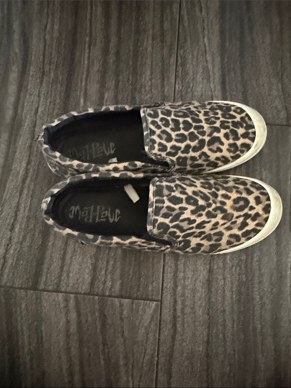 Mad Love Leopard Print Slip-On Sneakers - Taupe/Black